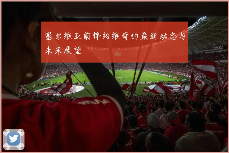 塞尔维亚前锋约维奇的最新动态与未来展望